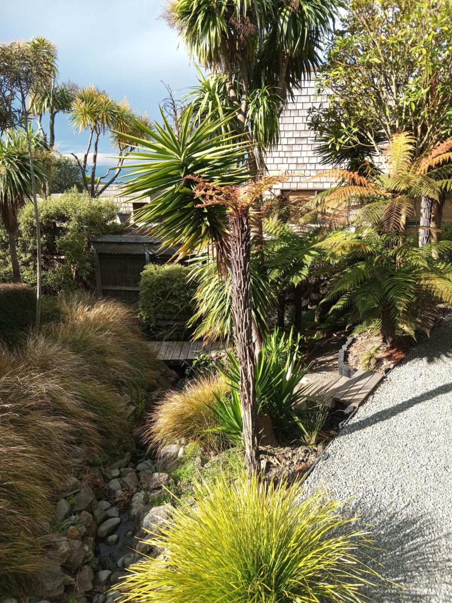Mount Pleasant Views Apartment Christchurch Luaran gambar